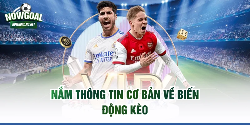 Nắm thông tin cơ bản về biến động kèo
