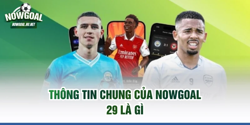 Thông tin chung của Nowgoal 29 là gì 
